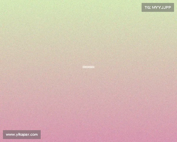 武林风泰山的比赛