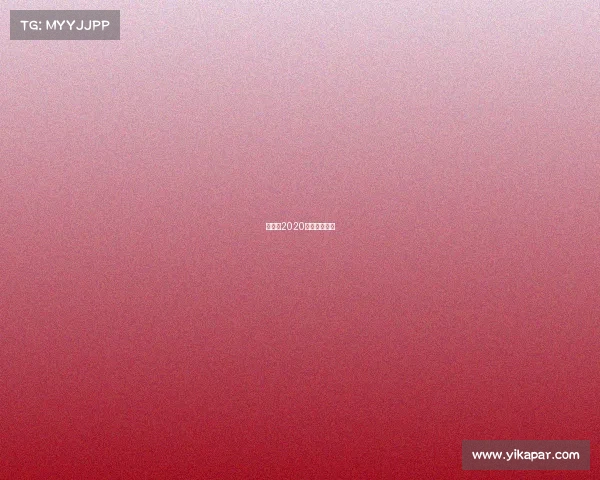 董文飞2020最新比赛视频